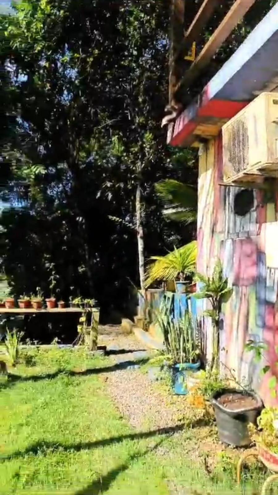 A Figueira Sagrada - Hostel Morro de Sao Paulo Bagian luar foto